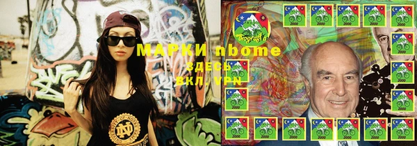ГАЛЛЮЦИНОГЕННЫЕ ГРИБЫ Заволжье