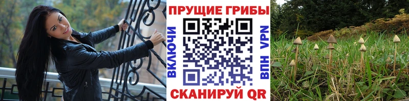 наркотики  Нефтекамск  Псилоцибиновые грибы ЛСД 